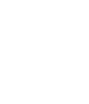 Realtor